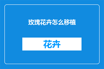 玫瑰花卉怎么移植