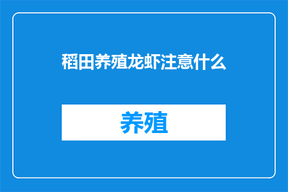 稻田养殖龙虾注意什么