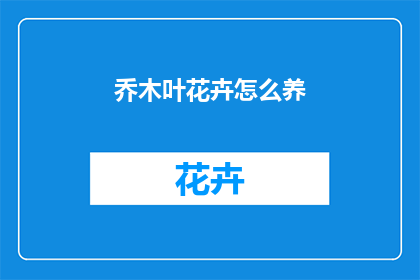 乔木叶花卉怎么养