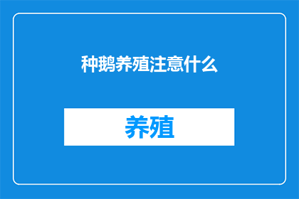 种鹅养殖注意什么
