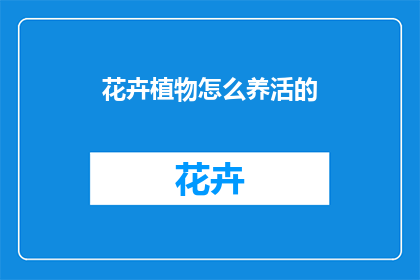 花卉植物怎么养活的