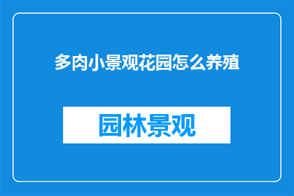 多肉小景观花园怎么养殖