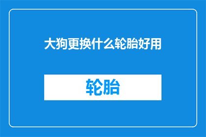 大狗更换什么轮胎好用