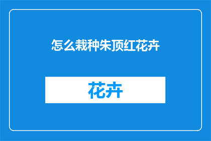 怎么栽种朱顶红花卉