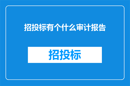 招投标有个什么审计报告