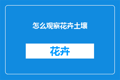 怎么观察花卉土壤