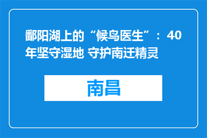 鄱阳湖上的“候鸟医生”：40年坚守湿地 守护南迁精灵