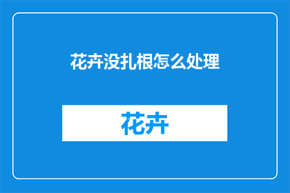 花卉没扎根怎么处理