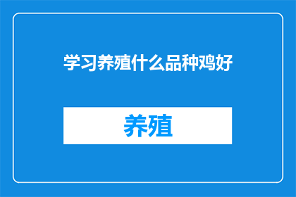 学习养殖什么品种鸡好