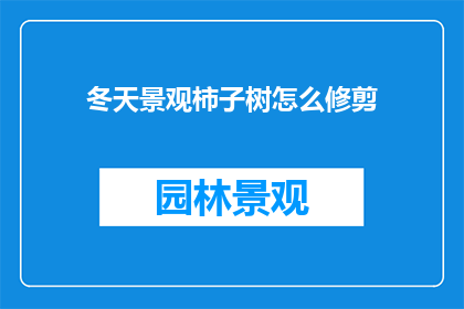 冬天景观柿子树怎么修剪