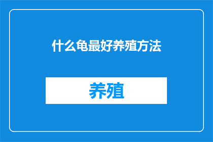 什么龟最好养殖方法