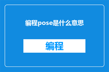 编程pose是什么意思