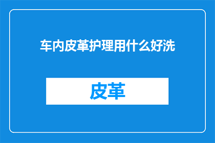 车内皮革护理用什么好洗