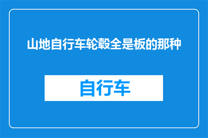 山地自行车轮毂全是板的那种