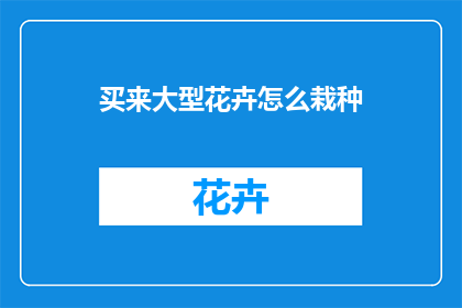 买来大型花卉怎么栽种