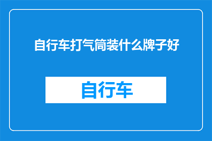 自行车打气筒装什么牌子好