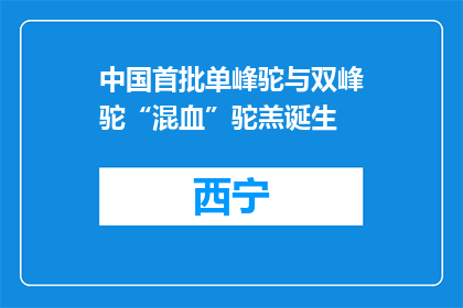 中国首批单峰驼与双峰驼“混血”驼羔诞生