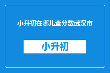 小升初在哪儿查分数武汉市