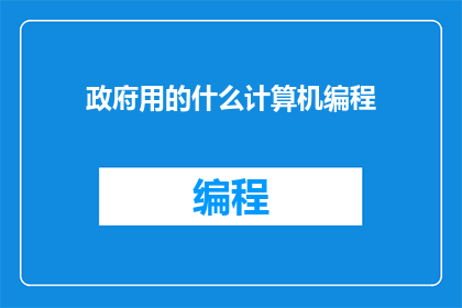 政府用的什么计算机编程