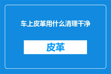 车上皮革用什么清理干净