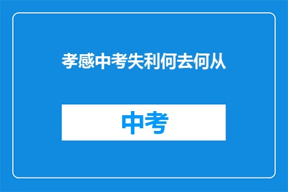 孝感中考失利何去何从