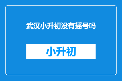 武汉小升初没有摇号吗
