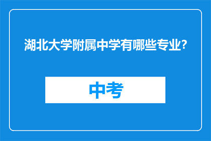 湖北大学附属中学有哪些专业？