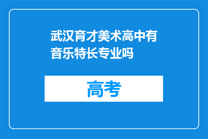 武汉育才美术高中有音乐特长专业吗