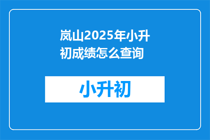 岚山2025年小升初成绩怎么查询