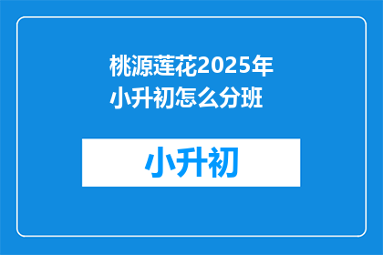 桃源莲花2025年小升初怎么分班