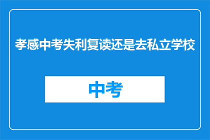孝感中考失利复读还是去私立学校