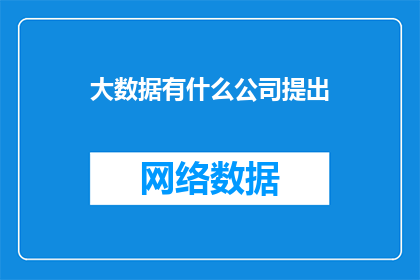 大数据有什么公司提出