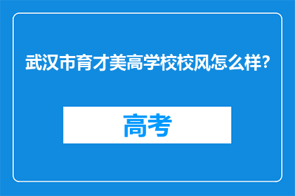 武汉市育才美高学校校风怎么样？
