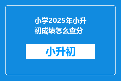 小学2025年小升初成绩怎么查分