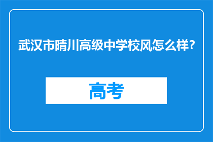 武汉市晴川高级中学校风怎么样？