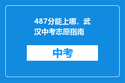 487分能上哪，武汉中考志愿指南