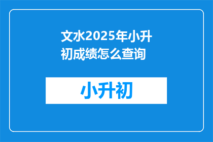 文水2025年小升初成绩怎么查询