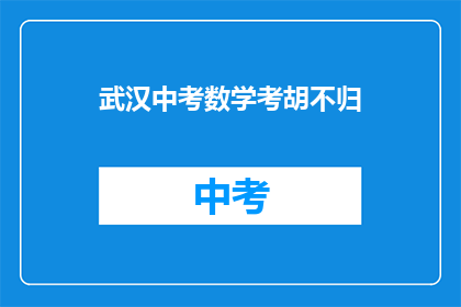 武汉中考数学考胡不归