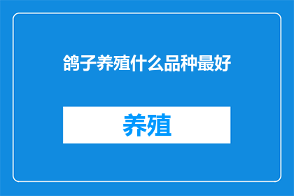 鸽子养殖什么品种最好