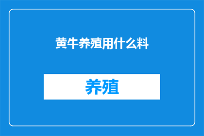 黄牛养殖用什么料