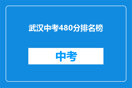 武汉中考480分排名榜