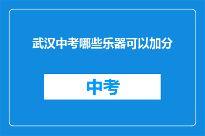 武汉中考哪些乐器可以加分