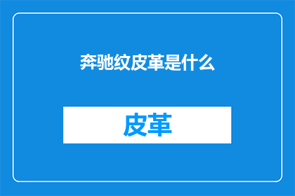 奔驰纹皮革是什么(奔驰纹皮革是什么？)