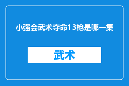 小强会武术夺命13枪是哪一集(小强会武术夺命13枪是出自哪一部电视剧？)