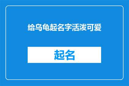 给乌龟起名字活泼可爱(给乌龟起一个既活泼又可爱的名字，你有什么创意吗？)