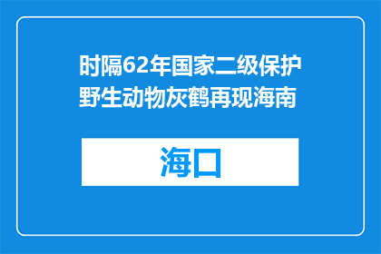 时隔62年国家二级保护野生动物灰鹤再现海南