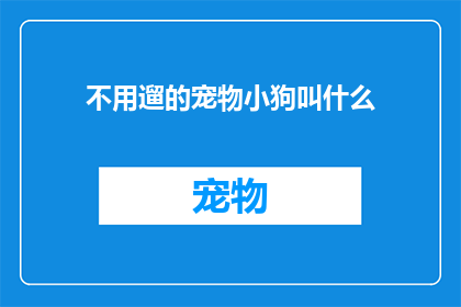不用遛的宠物小狗叫什么(宠物小狗不常被遛，它们应该叫什么名字？)
