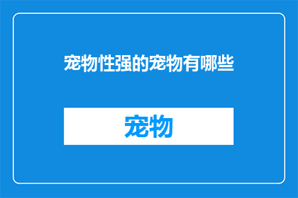宠物性强的宠物有哪些(哪些宠物因其强烈的个性而成为人们宠爱的对象？)